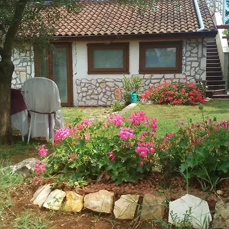 Apartman Collins Póla